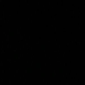 Meet your Posher, Tess